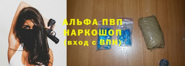 молекула духа Медвежьегорск