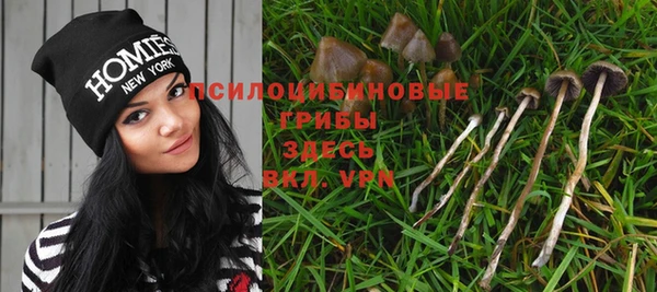 тгк Магас
