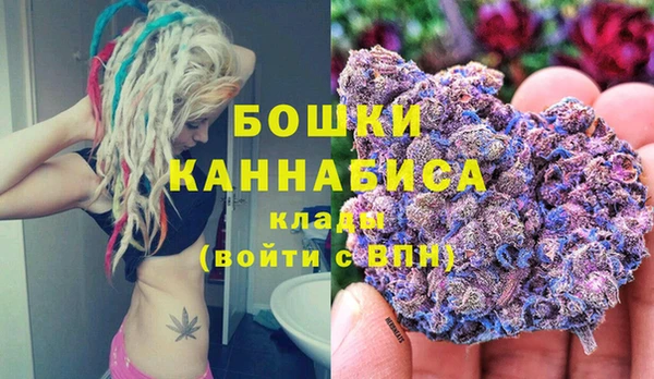 Альфа ПВП Мегион