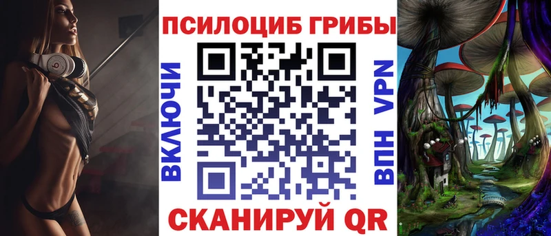 Псилоцибиновые грибы Psilocybine cubensis  Купить где  Алзамай 